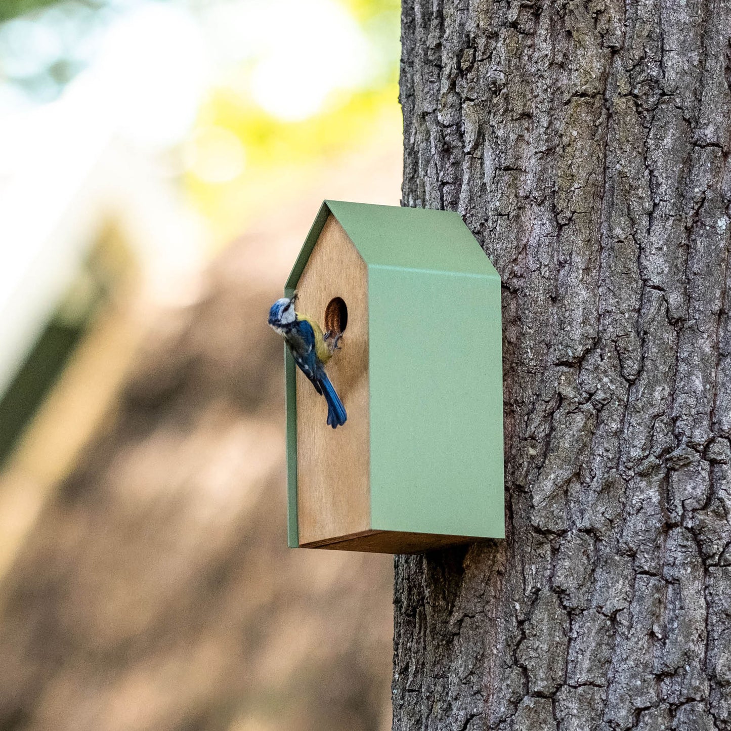 Vogelhuisje 2.0